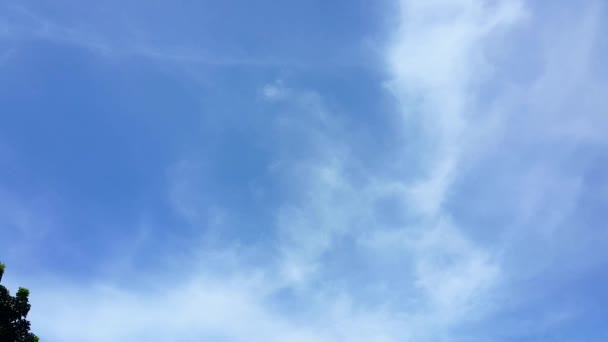 Silhueta Avião Voando Céu Azul Claro — Vídeo de Stock