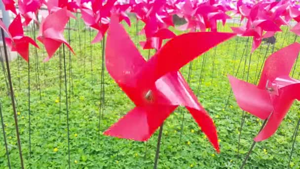 Eine Kleine Rote Kunststoff Windmühle Die Sich Wind Dreht Inmitten — Stockvideo