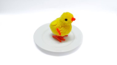 Yellow chick toy on white plate isolated on white background