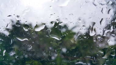 Raindrops at window with blurred tree background. The rainy season.