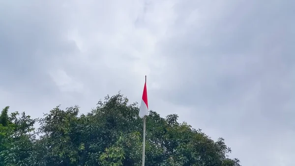 印度尼西亚红白相间的国旗飘扬着树木和蓝天的背景 — 图库照片