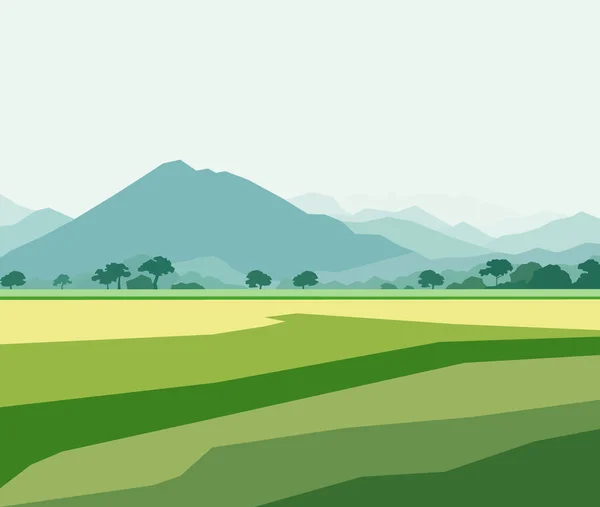 Prachtig Rijstveld Landschap Met Bergen Vector Illustratie — Stockvector