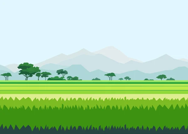 Krásná Krajina Ricefield Horskými Vektory Ilustrace — Stockový vektor