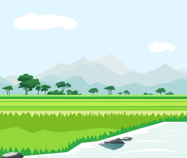 Schöne Reisfelder Landschaft Mit Bergen Und Flussvektorillustration — Stockvektor