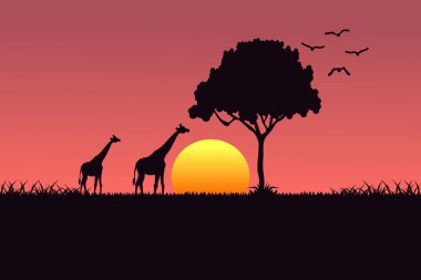 Savannah 'da günbatımında zürafa silueti. Basit vektör illüstrasyonu.