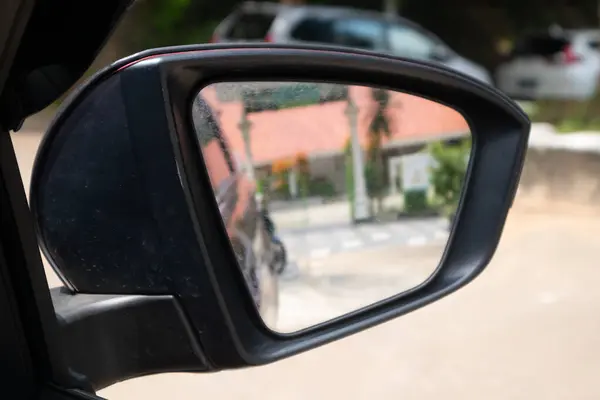 Side rear view mirror with fungus on a car. A fungus growing in the mirror on a car.