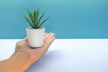 Tencerede yapay bir çiçek tutuyor. Boşluğu kopyala.