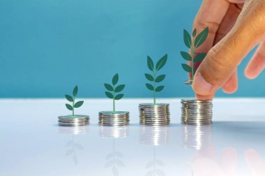 Yığılmış paraların üzerinde büyüyen sanal bitki. Para tasarrufu veya yatırım kavramı.