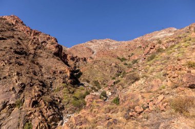 Taif şehrinde berrak mavi gökyüzü olan kayalık tepelerin manzarası, Suudi Arabistan