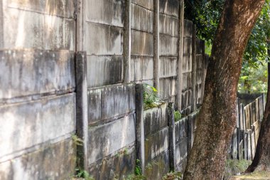 Dışarıda taş bir duvar ya da tuğla bir çit