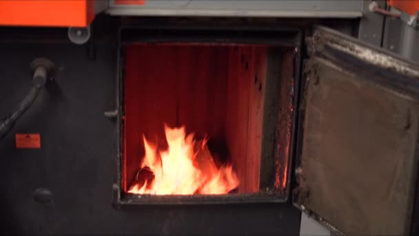 焚烧炉中的柴火 燃烧的柴火在锅炉中加热的录像 — 图库视频影像