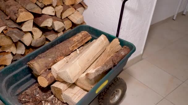 Man Puts Firewood Wheelbarrow Transportation Boiler Room Kindling Stove Heating — Stock Video