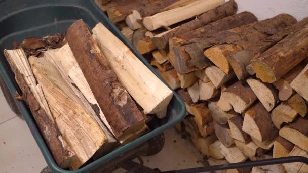 Man Puts Firewood Wheelbarrow Transportation Boiler Room Kindling Stove Heating — Stockvideo