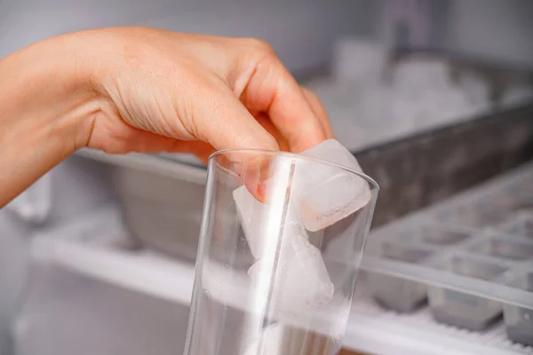 Дівчина Збирає Заморожені Кубики Льоду Скляному Горщику Морозильника — стокове фото