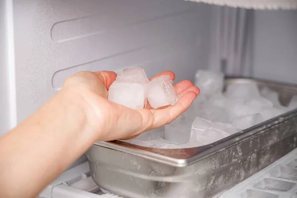 Menina Coleta Cubos Gelo Congelados Congelador Para Preparar Refrigerantes — Fotografia de Stock