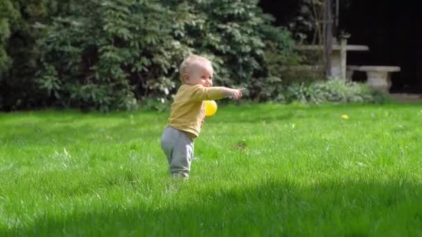 Маленький Ребенок Пробует Свои Первые Шаги Зеленой Траве Дети Учатся — стоковое видео