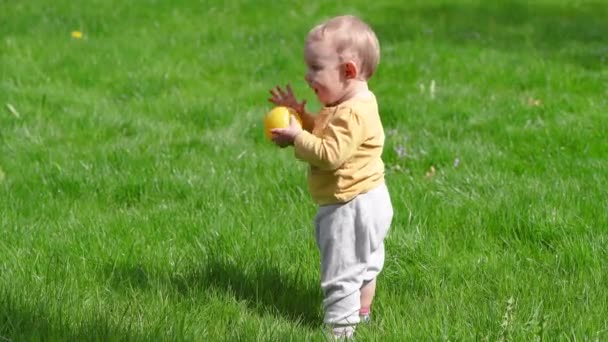 Een Klein Kind Met Een Gele Bal Loopt Groen Gras — Stockvideo
