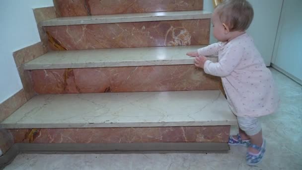 Küçük Bir Kız Merdivenlerden Yukarı Çıkıyor Çocuk Merdivenlerden Çıkamaz Yüksek — Stok video