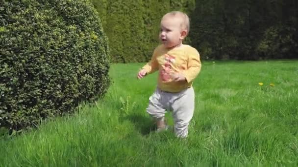 Küçük Bir Çocuk Acemice Yeşil Çimlerin Üzerinde Parkta Yürüyor Yüksek — Stok video