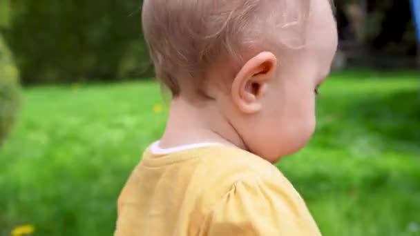 Küçük Bir Kız Yeşil Çimlerin Üzerinde Parkta Yürür Karahindibaların Yanında — Stok video