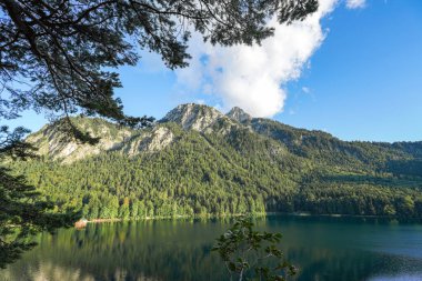 Aşağıdaki dağ ve göl. Dağdaki çam ormanı.