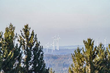 Ağaçların ve ormanın arka planına karşı rüzgar jeneratörleri. Ekoloji kavramı.