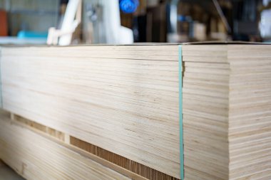 Marangozluk atölyesinde boş mobilya yapmak için bir yığın çip ve MDF tahtası. Mobilya üretim tesisi.