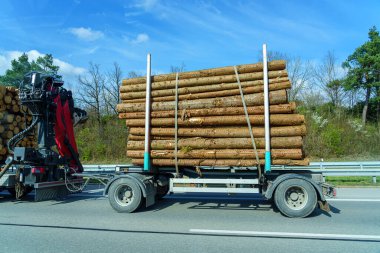 Bir kamyon açık ve güneşli bir günde otoyol boyunca büyük miktarda taze kesilmiş kereste taşır. Kütükler düzgünce istiflendi ve emniyete alındı. Bu da orman endüstrisini iş başında gösteriyor..