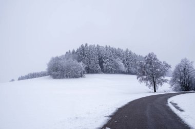 Huzurlu bir kış sahnesinde, arka planda gri bir gökyüzünün altında yoğun bir orman bulunan, karla kaplı bir tarladan geçen dolambaçlı bir yol bulunur..