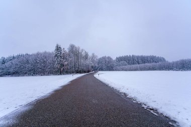 Karla kaplanmış dolambaçlı bir patika kışın ortasında uzanır. Buzlu ağaçlar yol boyunca uzanır. Gri gökyüzünde ağır bulutlar asılı kalır. Şafakta huzurlu bir atmosfer yaratır..