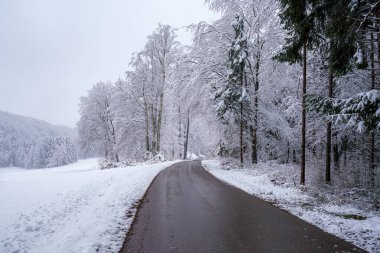 Karla kaplı bir orman boyunca uzanan sakin bir patika beyaz buzla kaplı uzun ağaçlarla kaplı. Sessiz, kış manzarası bir huzur ve güzellik hissi uyandırıyor..
