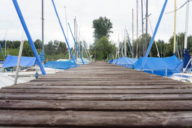Uzun bir ahşap iskele, huzurlu bir marinada mavi brandalarla kaplı yelkenli koleksiyonuna doğru uzanıyor. Çevreleyen ağaçlar bu bulutlu günde dingin bir zemin sağlar.