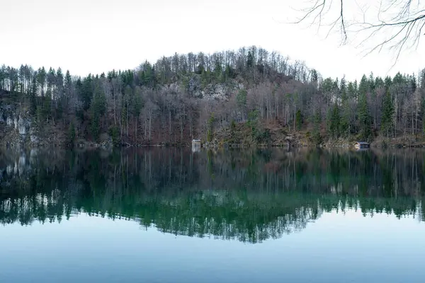 Sakin bir göl, açık bir sabahta etrafındaki ağaçların ve tepelerin yansımasını yakalar. Yumuşak ışık huzurlu atmosferi güçlendirir, düşünce ve doğa ile bağlantıyı teşvik eder..