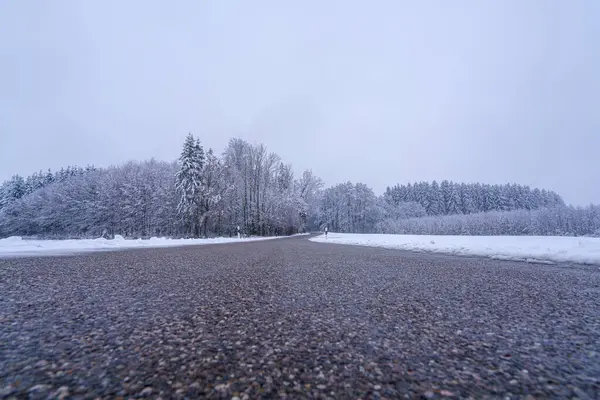 Önümüzde buzlu ağaçlarla çevrili karla kaplı bir yol uzanıyor. Bulutlu gökyüzü sönük bir ışık yayar ve kırsal bir bölgede huzurlu bir kış ortamı yaratır..
