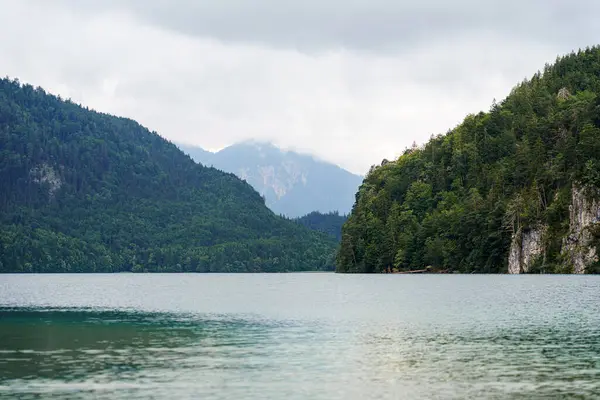 Huzurlu bir göl bulutlu bir gökyüzünün altında çevreleyen yeşil dağları yansıtır. Durgun su, Bavyera topraklarında doğanın gelişimi gibi rahatlamayı davet eder..