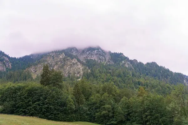 Sabahın erken saatlerinde sis dağın tepelerini kaplayarak yemyeşil ormanın üzerinde mistik bir atmosfer yaratıyor. Sakin vadiyi çevreleyen yüksek ağaçlar bu sakin ortamda.