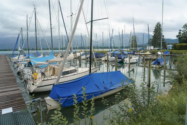Bir marinada birden fazla yelkenli var, bazıları mavi muşambalarla kaplı. Bulutlu gökyüzü sakin bir ortam yaratırken, yeşil ağaçlar doğal bir zemin oluşturuyor..