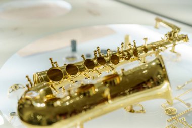 Güzel bir altın saksafon, karmaşık ayrıntılar ve işçiliğin yer aldığı bir müzik sergisinde sergileniyor. Parlak enstrüman ışığı yansıtır, tasarımı dikkat çeker..