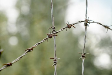 Yakın çekim, keskin noktalarla sarmalanmış paslı dikenli telleri vurguluyor, açık bir günde kırsal bir ortamın kırsal olduğunu gösteren, yumuşak, bulanık yeşil bir zemin ile tezat oluşturuyor..