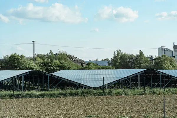 Güneş panelleri parlak bir gökyüzünün altındaki kırsal bir çiftliğe kurulur. Yapıyı çevreleyen yeşil ağaçlar ve alanlar, tarımda sürdürülebilir enerji çabalarını sergiliyor.