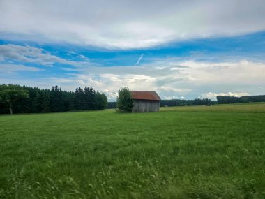 Yıpranmış ahşap bir kulübe yemyeşil bir tarlada tek başına duruyor, uzun otlar ve ağaçlarla çevrili. Yukarıdaki gökyüzü parçalı bulutlu ve mavi ipuçları içeriden bakıyor..