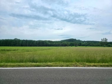 Sakin bir manzara, bulutlu bir gökyüzü ile uzak tepelere doğru uzanan canlı yeşil alanlar sergiliyor. Huzurlu bir yol kenarında sakin bir atmosfer yaratıyor..