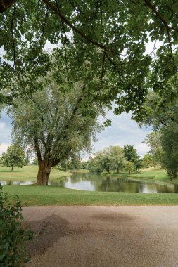 Sakin bir göl manzarasında geniş dalları olan ve suya yansıyan büyük bir ağaç yer alır. Yeşil çimenler göletin etrafını sarar, dinlenmek için mükemmel sakin bir atmosfer yaratır..