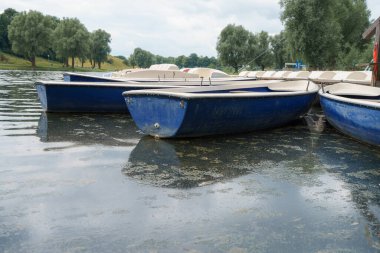 Mavi botlar sakin bir gölün yüzeyinde sessizce dinlenirler. Bitkiler ve ağaçlar suyu çerçeveletip bulutlu bir öğleden sonra huzurlu bir atmosfer yaratıyor..