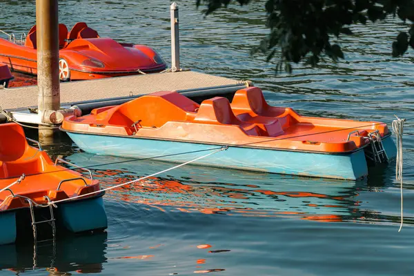 İki canlı pedal botu dingin bir göldeki ahşap rıhtıma bağlıdır. Temiz su güneşli gökyüzünü yansıtır ve ziyaretçiler için rahatlatıcı bir atmosfer sağlar..