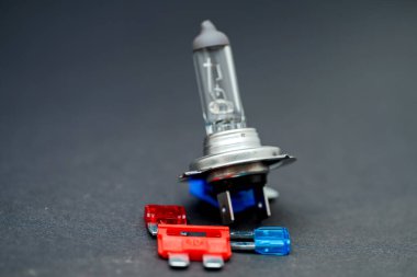 Kırmızı ve mavi otomotiv fünyelerinin yanında, elektrik sistemlerindeki tasarımlarını ve amaçlarını gösteren bir ampul sergilenir..