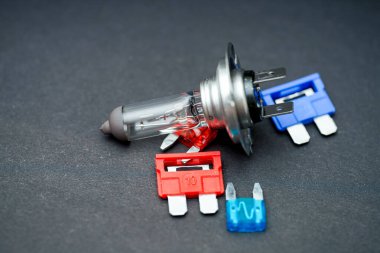 Bir araba farının ampulü, biri kırmızı diğeri mavi olmak üzere iki elektrik sigortasının yanına yerleştirilir ve araç tamiri için gerekli bileşenleri gösterir. Ögeler karanlık bir yüzeye yerleştiriliyor..