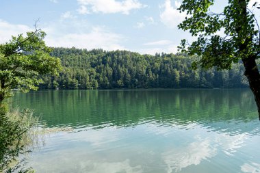 People paddle in canoes on a peaceful lake surrounded by green trees. Bright sunlight reflects off the water, creating a tranquil atmosphere. It is a perfect day for outdoor activities.