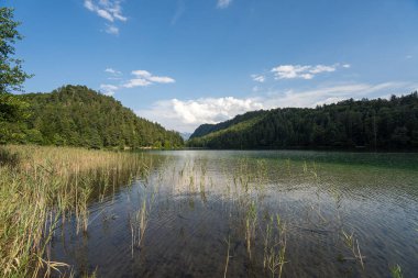 A peaceful lake reflects the vibrant greens of surrounding forests and mountains on a sunny day. Fluffy clouds drift across the blue sky, creating a serene atmosphere.