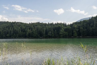 A peaceful lake reflects the clear blue sky and fluffy clouds, bordered by dense trees. The serene atmosphere invites relaxation and connection with nature.